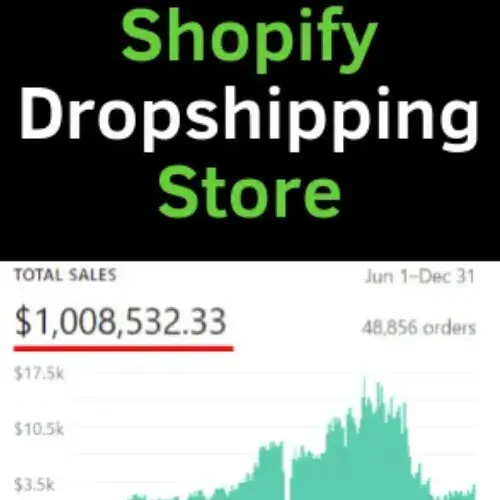 I will build a passive income dropshipping shopify store or shopify website